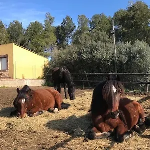  Apartamento Cal Murenu Rural